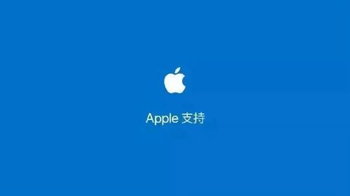 苹果开发者账号:武功山游客爆满!